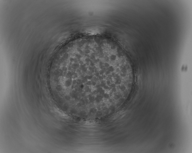 X0000111251393200907231541