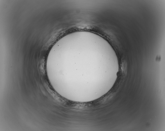 X0000111251396200907231541