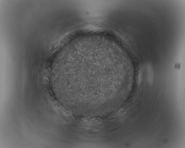 X0000111251397200907231541