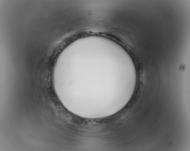 X0000111251398200907231541