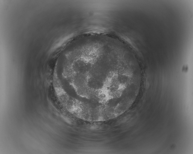 X0000111251399200907231541