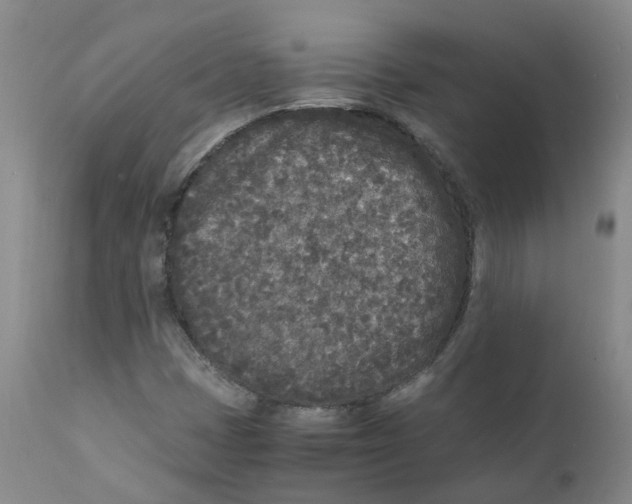 X0000111251401200907231541