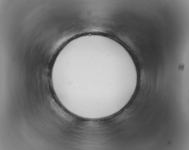 X0000111251404200907231541