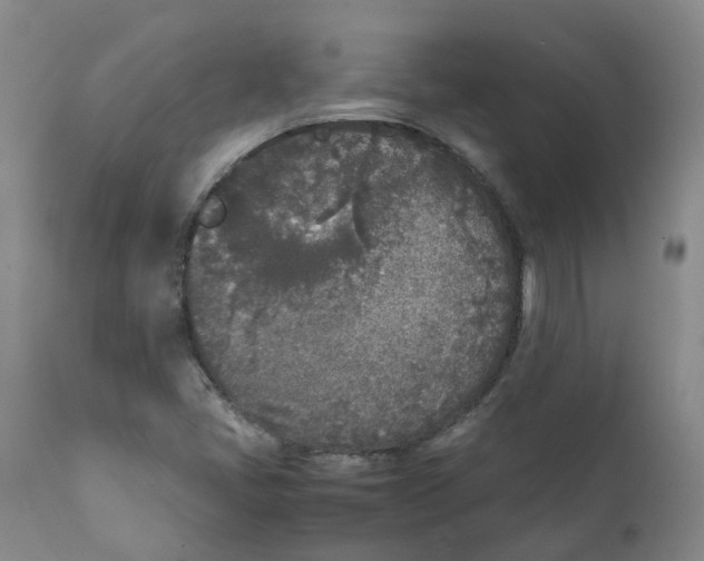 X0000111251405200907231541