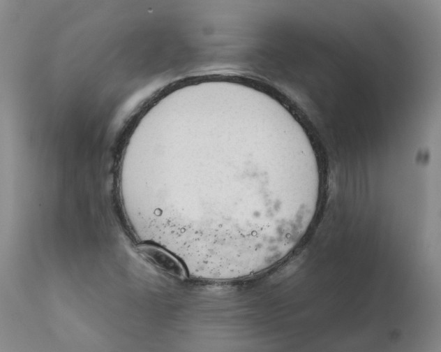 X0000111251406200907231541