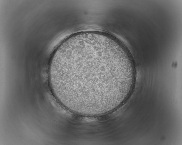 X0000111251407200907231541