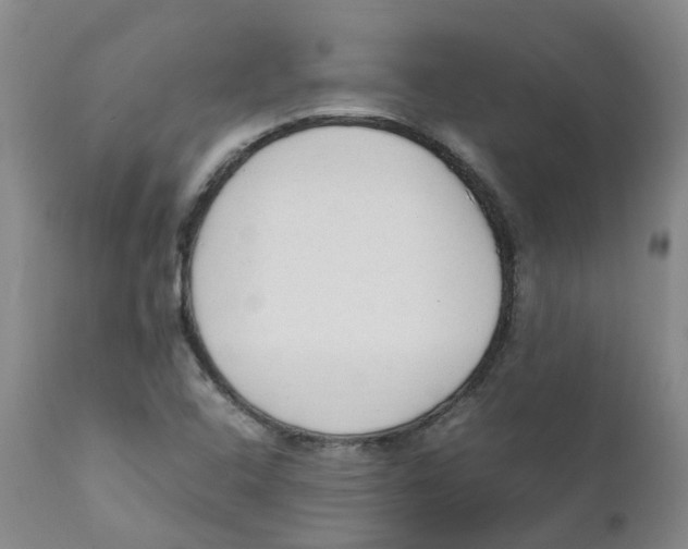 X0000111251408200907231541