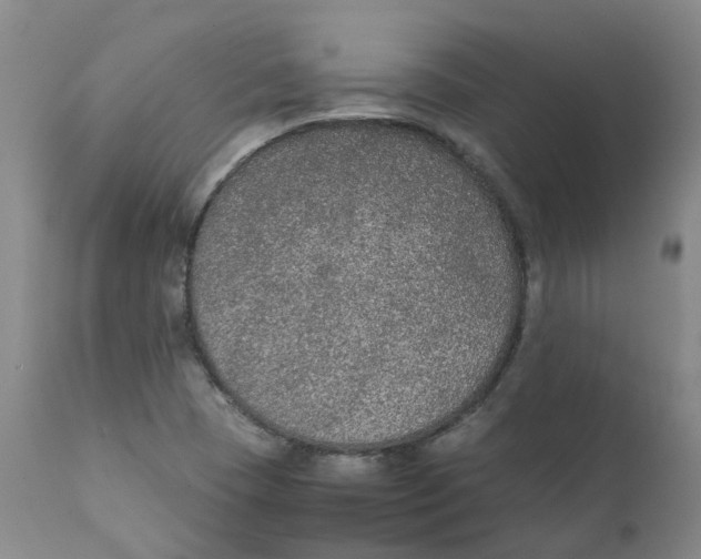 X0000111251409200907231541