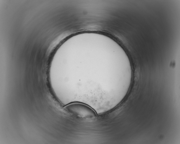 X0000111251410200907231542