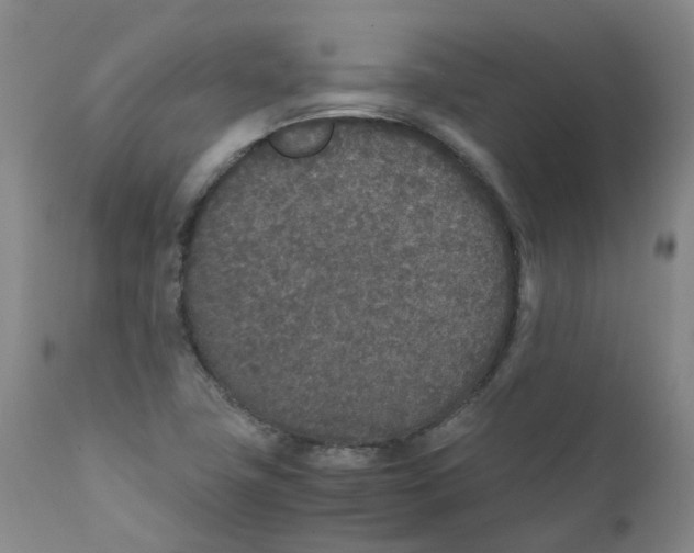 X0000111251411200907231542