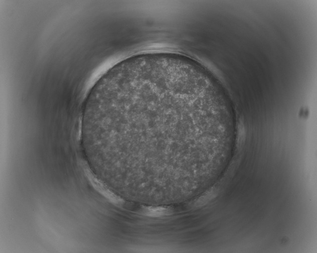 X0000111251413200907231542