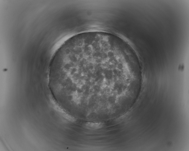 X0000111251415200907231542