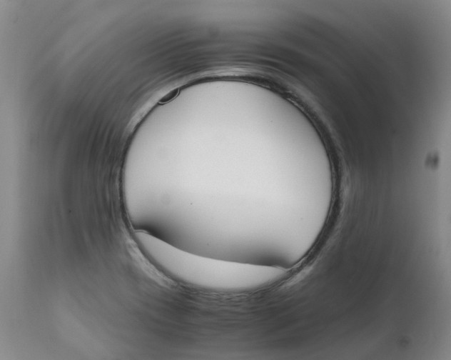 X0000111251417200907231542