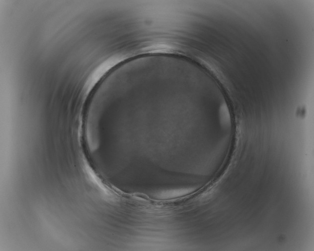 X0000111251418200907231542