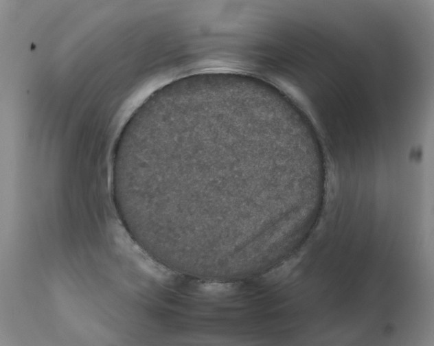 X0000111251419200907231542