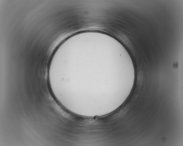 X0000111251420200907231542