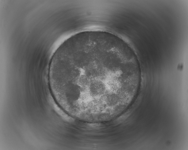 X0000111251421200907231542