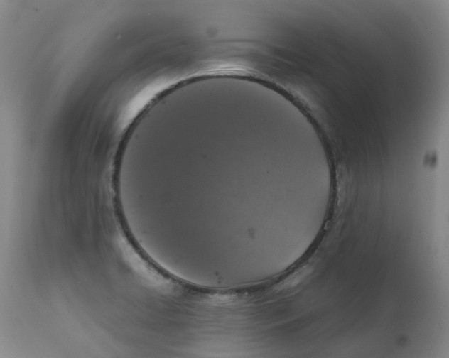 X0000111251422200907231542