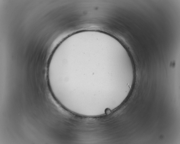 X0000111251424200907231542