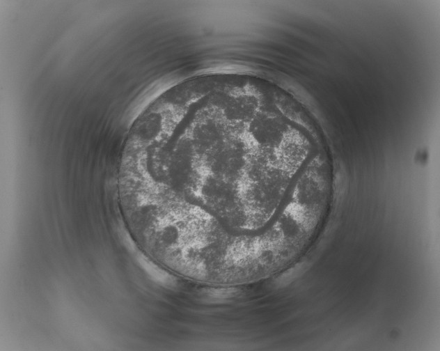 X0000111251425200907231542