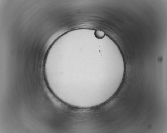 X0000111251426200907231542