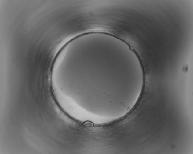 X0000111251428200907231542