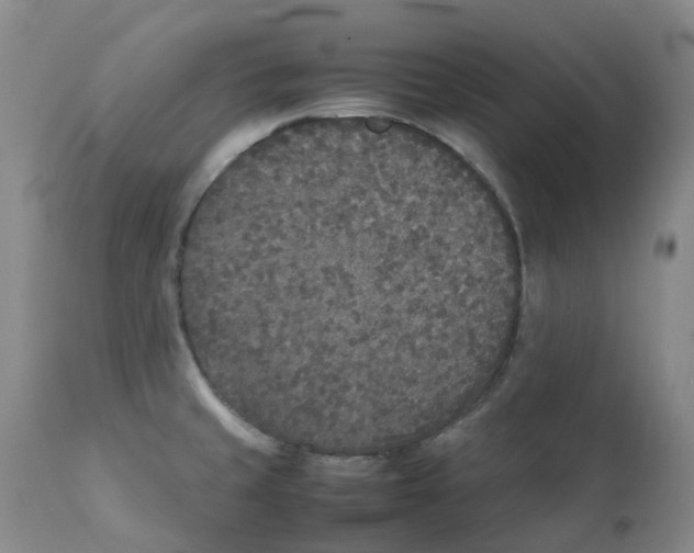 X0000111251429200907231542