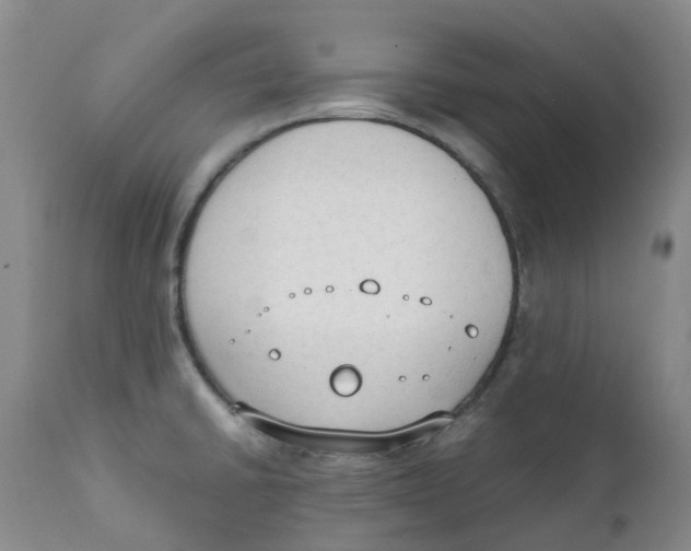 X0000111251430200907231542