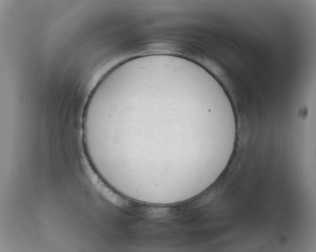 X0000111251431200907231542