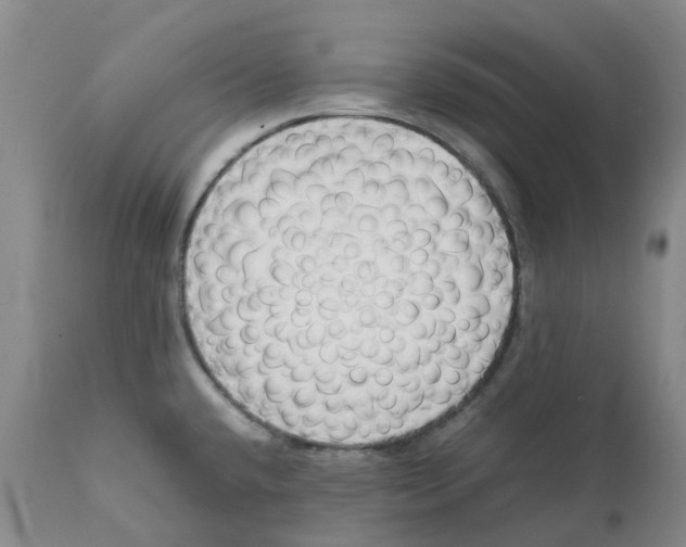 X0000111251432200907231542