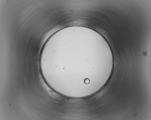 X0000111251434200907231542