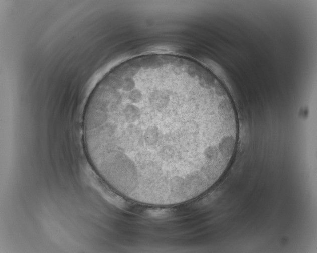 X0000111251435200907231542