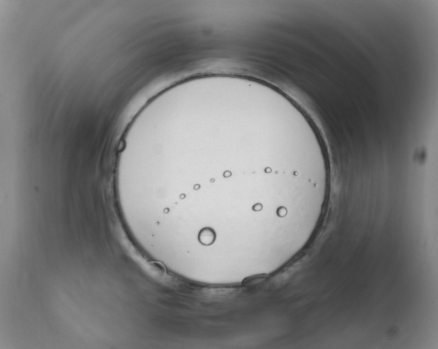 X0000111251437200907231542