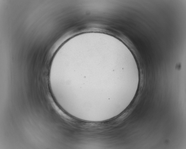 X0000111251438200907231542