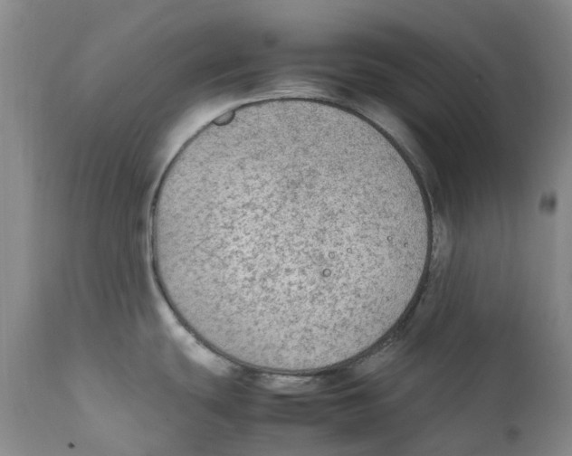 X0000111251439200907231542