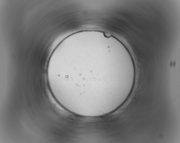 X0000111251440200907231542