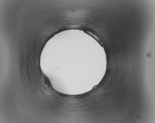 X0000111251441200907231541