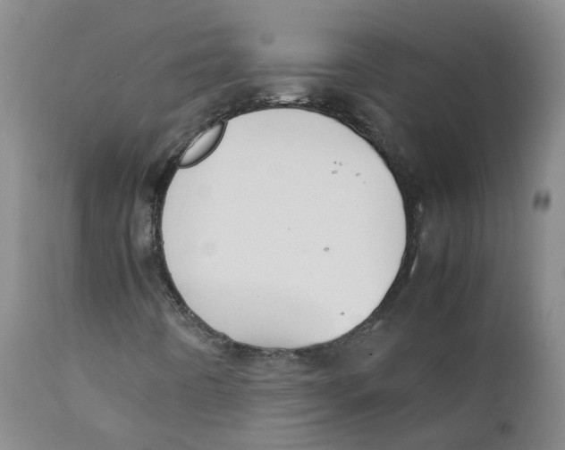 X0000111251442200907231541