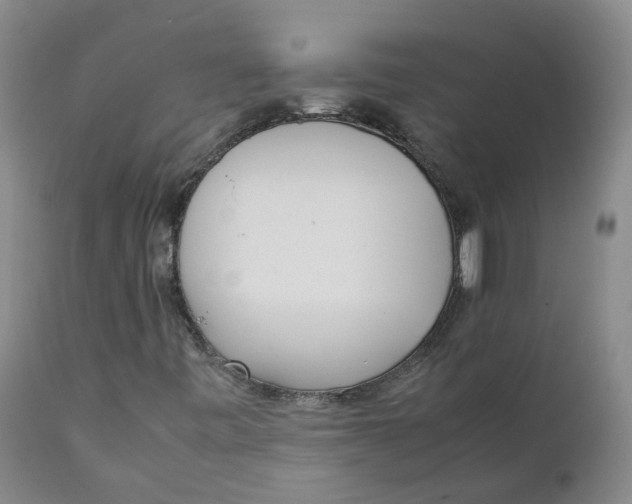 X0000111251443200907231541