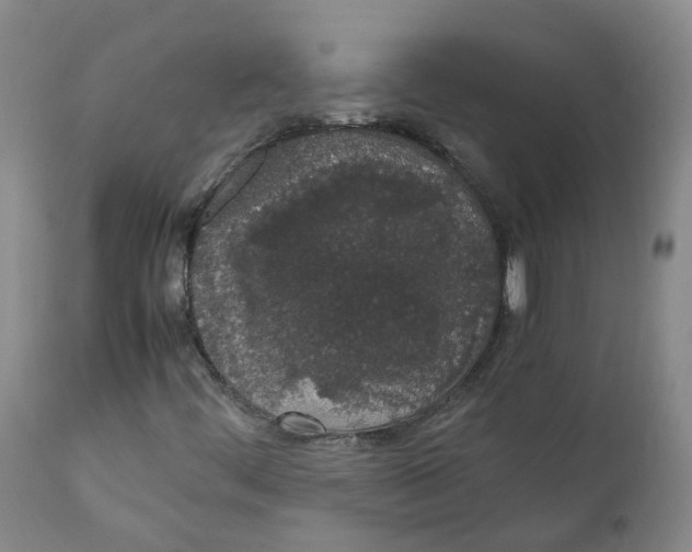 X0000111251444200907231541