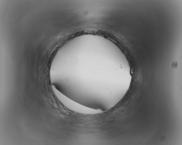 X0000111251445200907231541