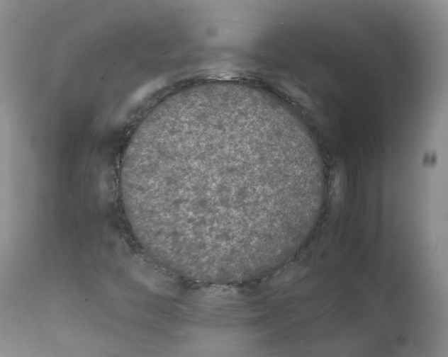 X0000111251446200907231541