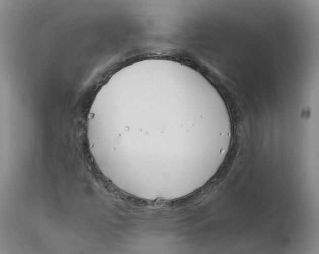 X0000111251447200907231541