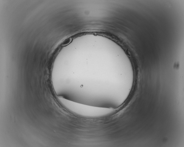 X0000111251449200907231541