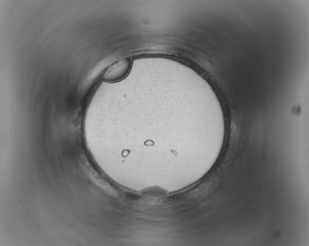 X0000111251450200907231541