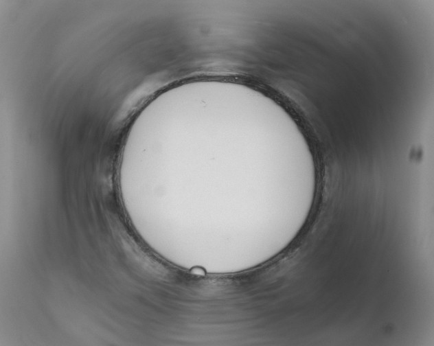 X0000111251451200907231541