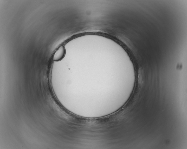 X0000111251452200907231541