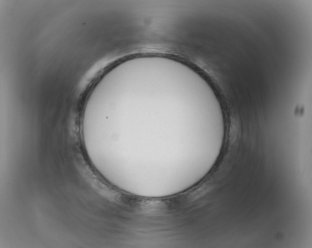 X0000111251454200907231541