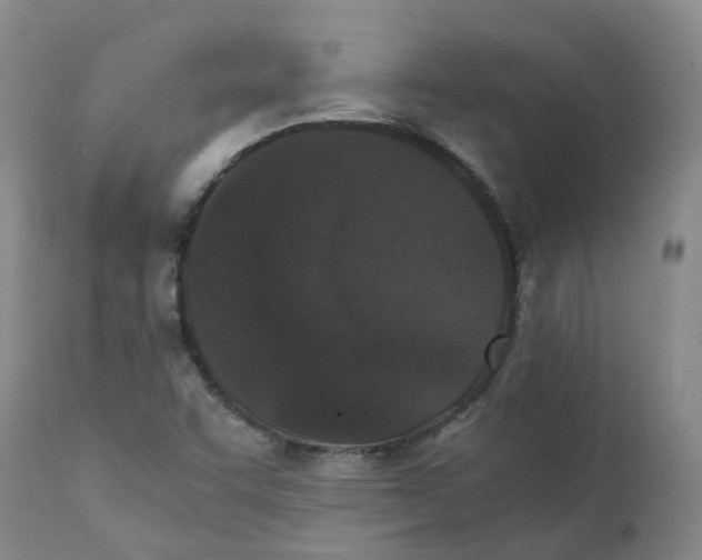 X0000111251455200907231541