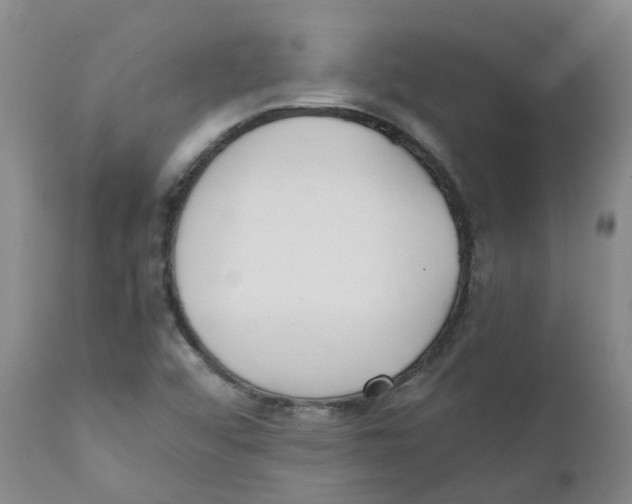 X0000111251456200907231541